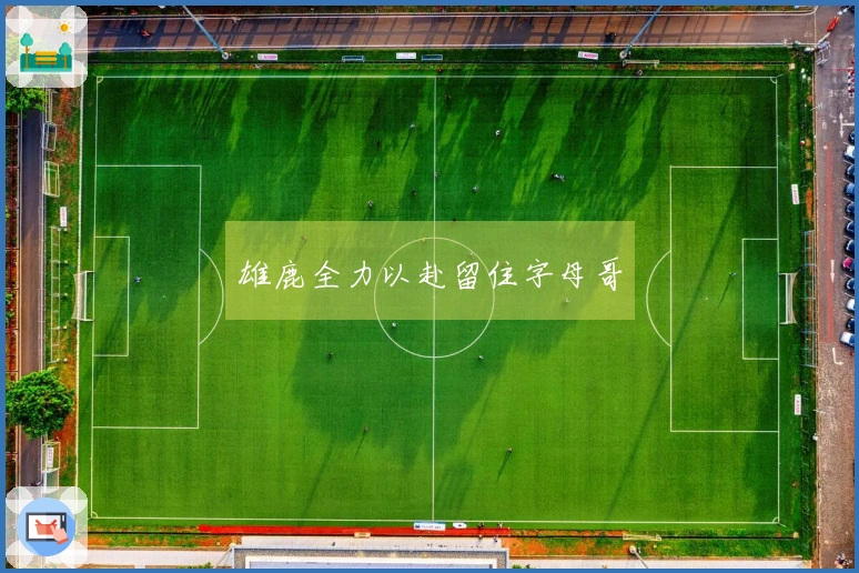 雄鹿全力以赴留住字母哥