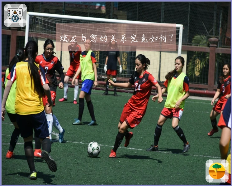 璃龙与您的关系究竟如何？