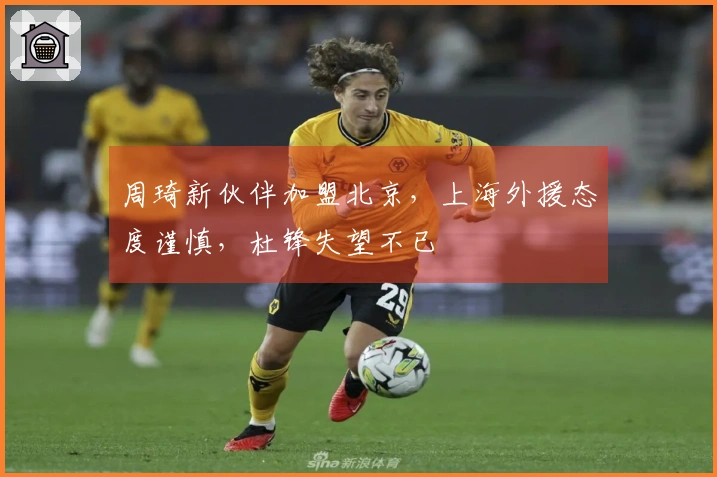 周琦新伙伴加盟北京，上海外援态度谨慎，杜锋失望不已